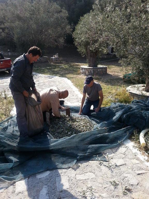Ano Platanaki Villa Kerveli Dış mekan fotoğraf